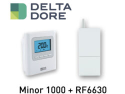 Thermostat Delta Dore Albatros